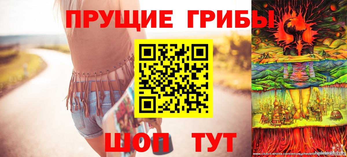 Псилоцибиновые грибы Psilocybine cubensis  Вход с VPN  Губаха 